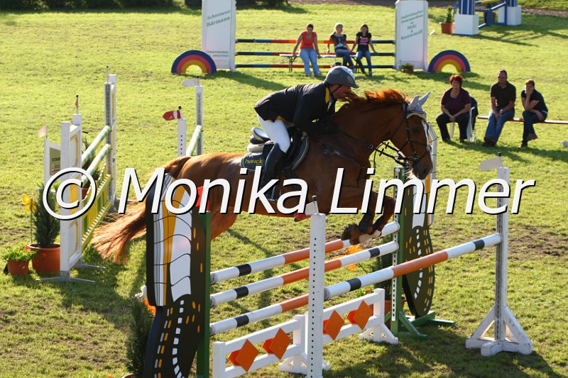 005M5953_Just For You_M Springen.JPG